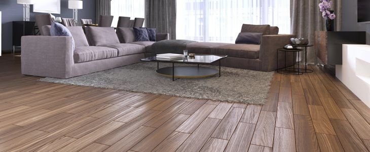 Hardwood Floors Image